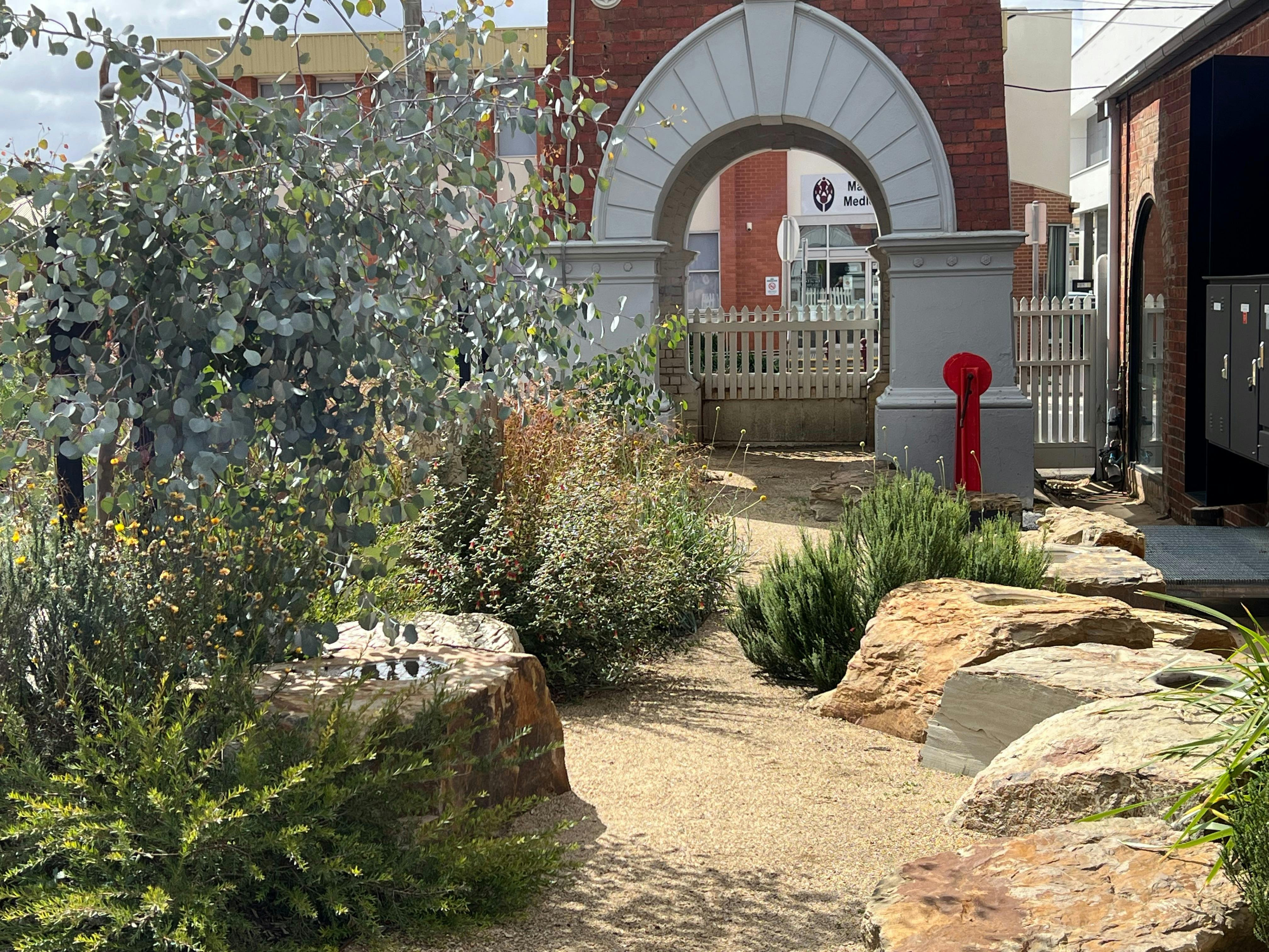 garingilang gatjin wii - Gallery's Indigenous interpretive garden.