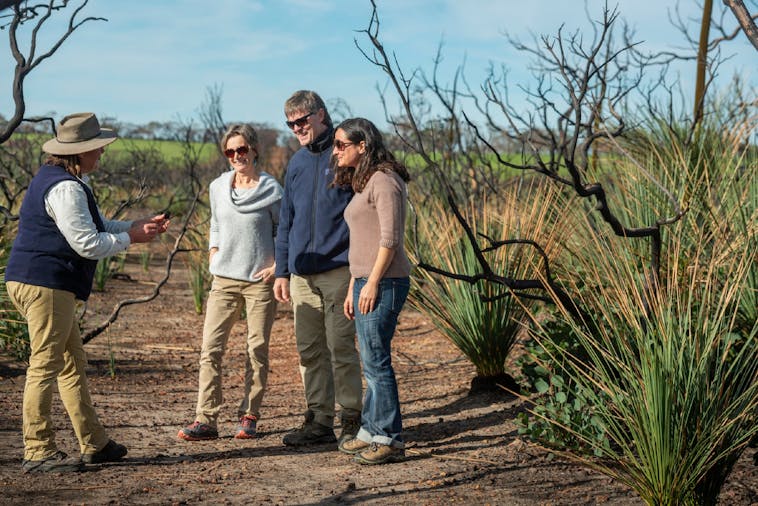 BRAND NEW TOUR Kangaroo Island Road to Recovery 1 Day1 Night