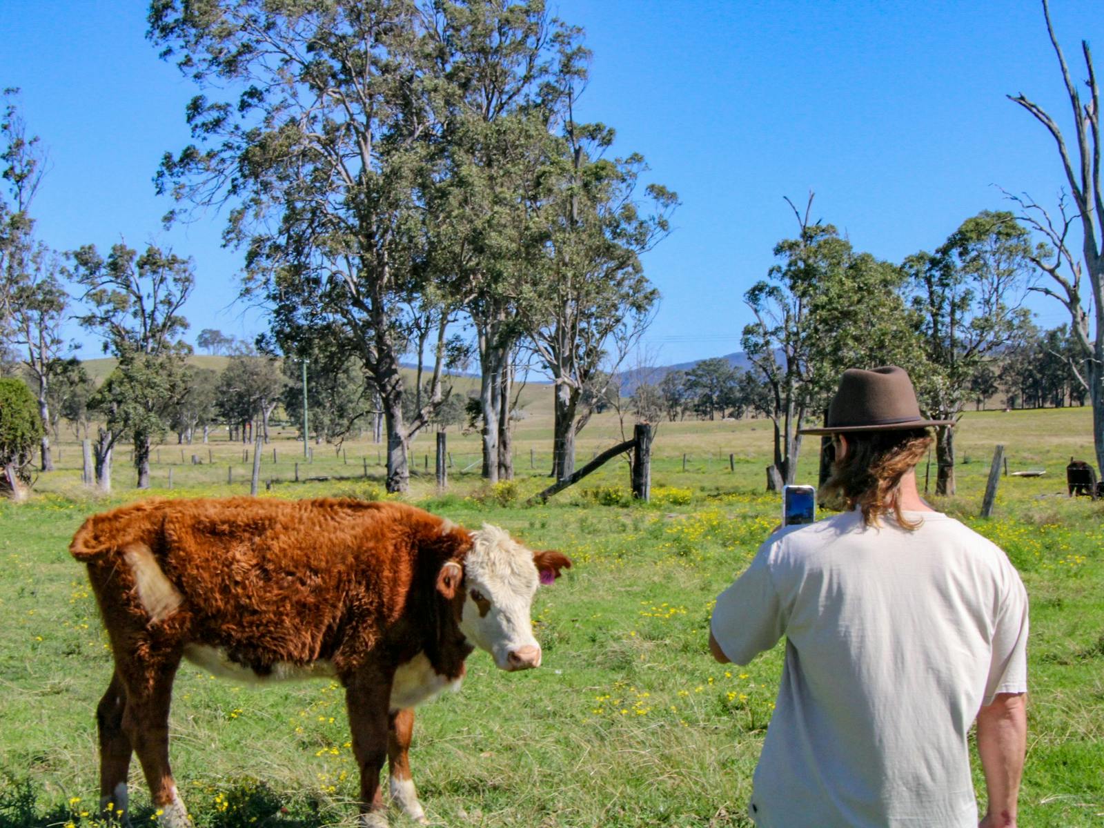 Country towns & farm tour