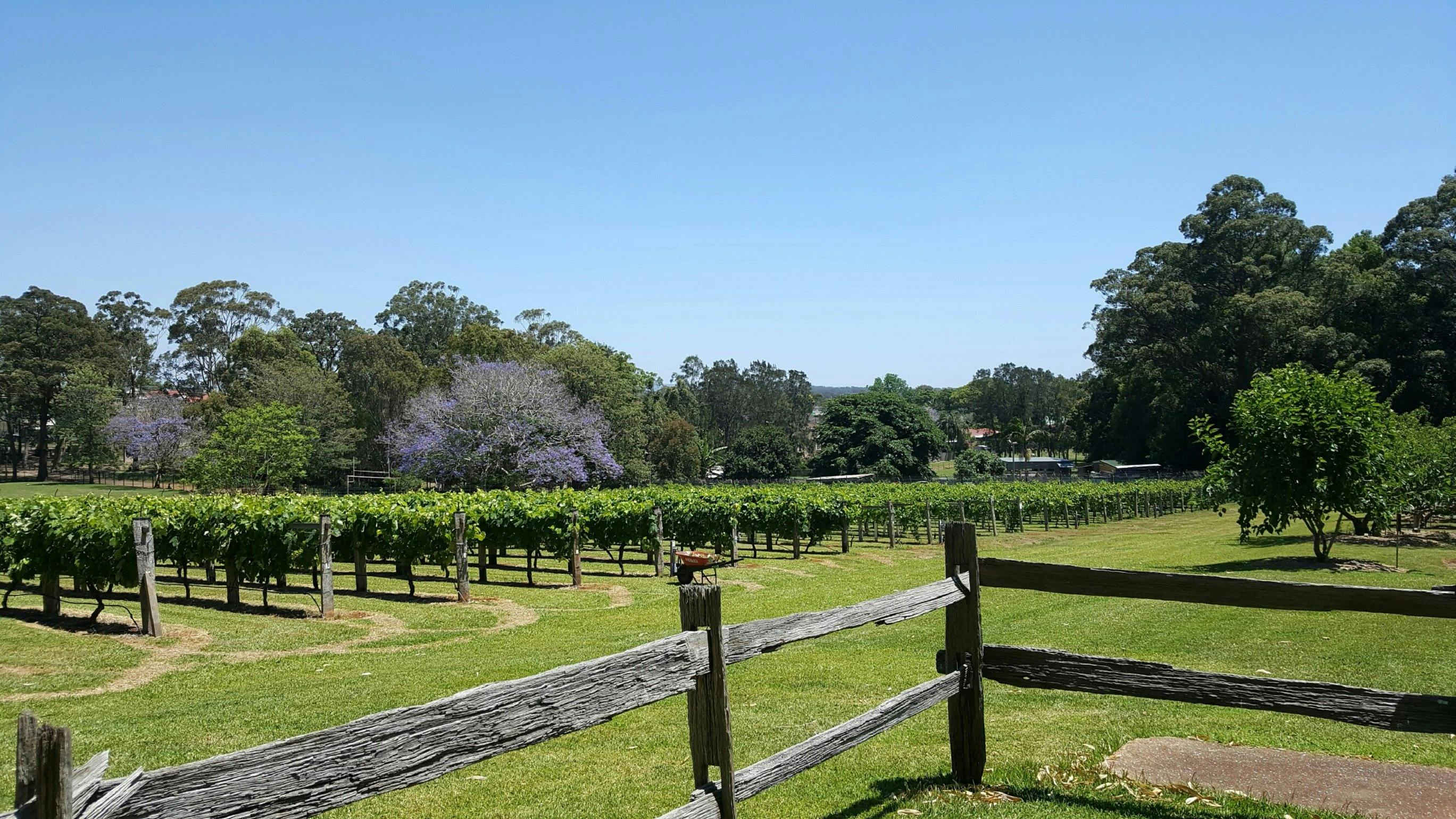 Douglas Vale Historic Homestead and Vineyard