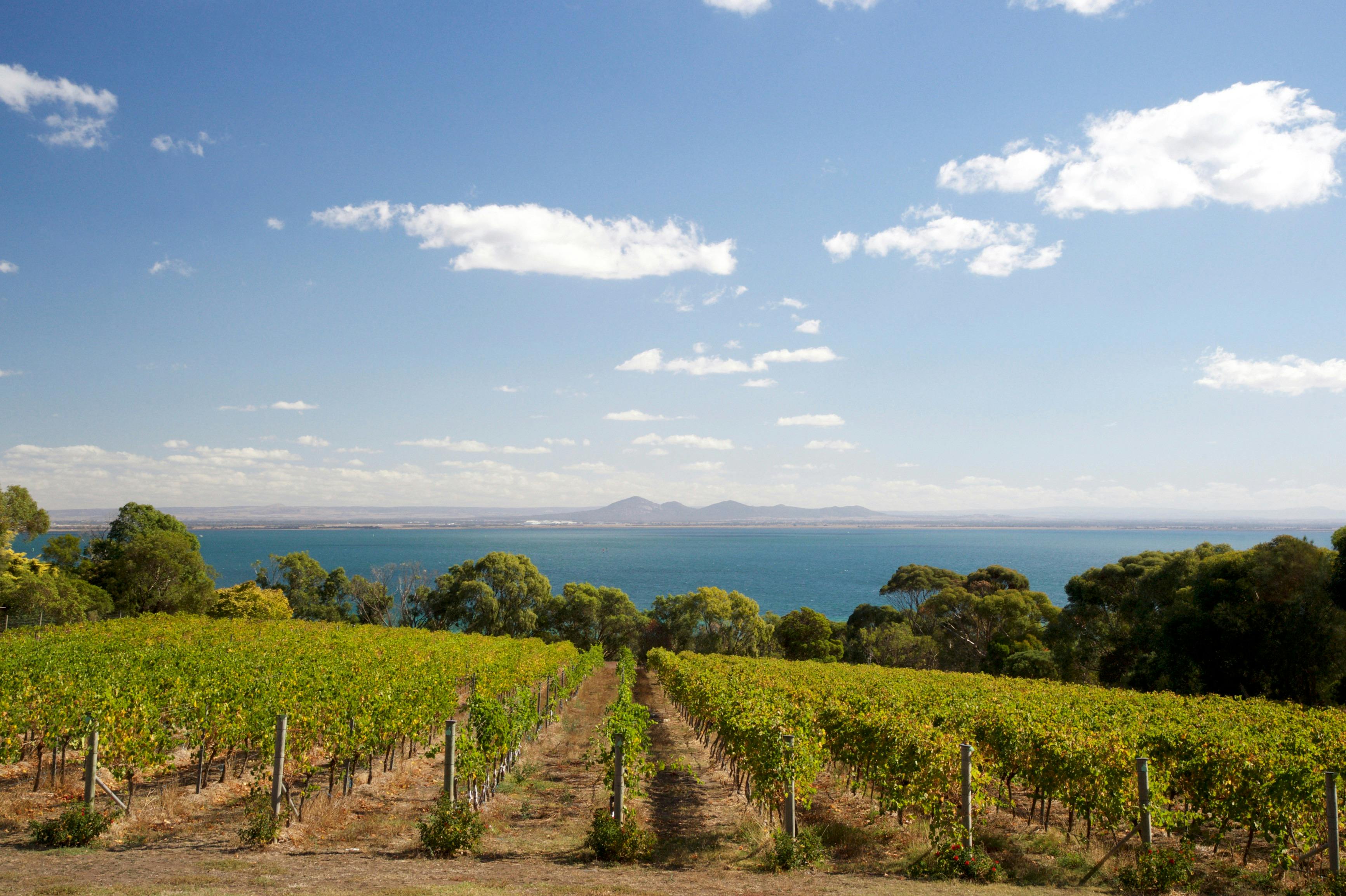 Winery