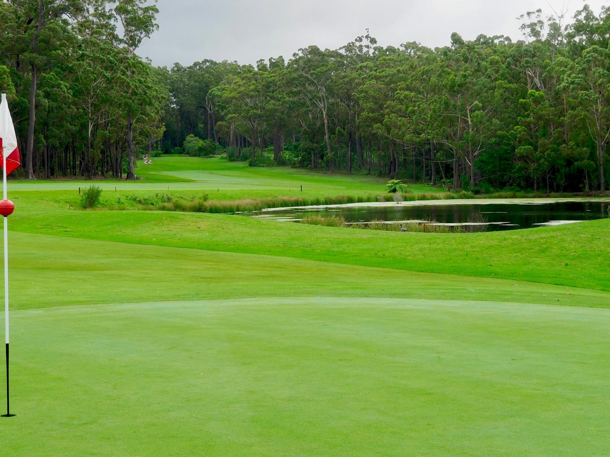 Sapphire Coast Week of Golf Thumbnail