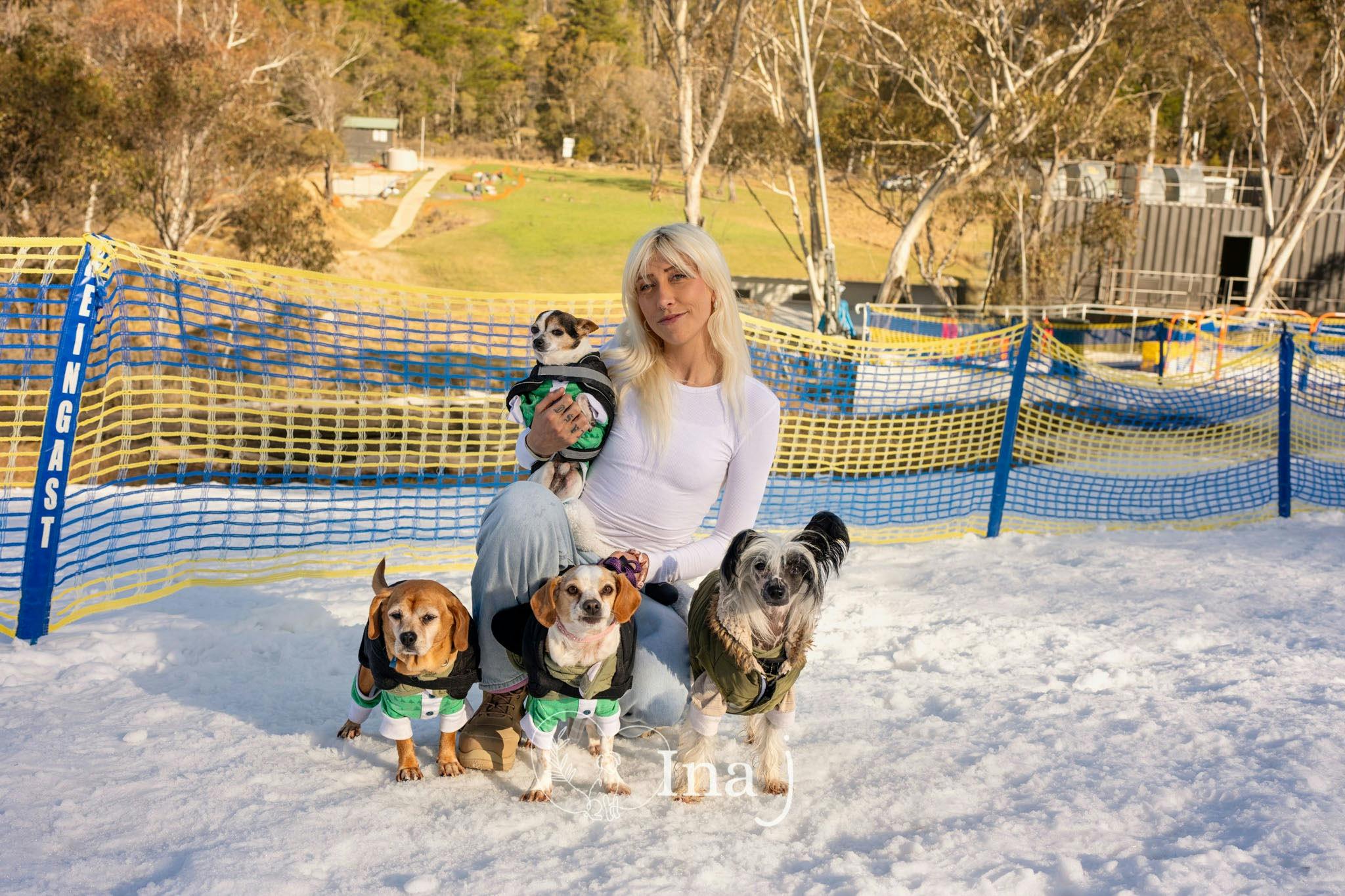 Woman holding a small dog sitting in snow, with 3 more dogs in front of her