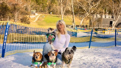 Woman holding a small dog sitting in snow, with 3 more dogs in front of her