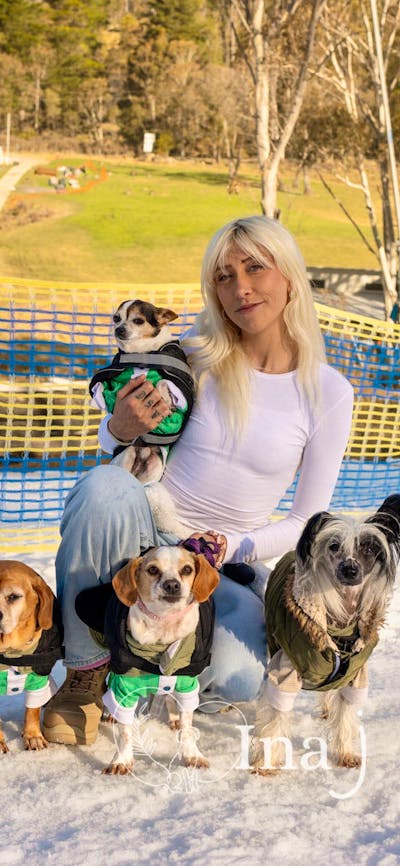 Woman holding a small dog sitting in snow, with 3 more dogs in front of her
