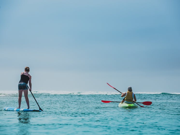 Stand Up Paddle Boarding Coffs Harbour C-Change Adventures