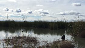 Gwydir Wetlands State Conservation Area Moree