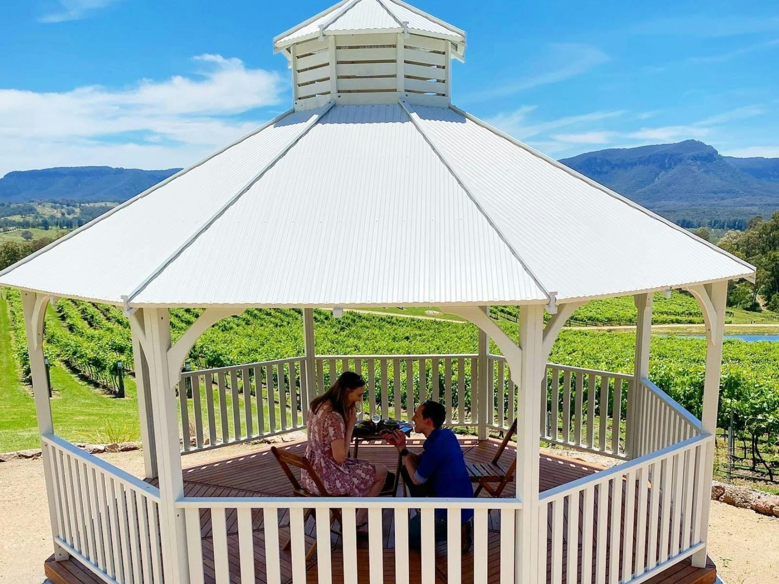 헬리콥터를 타고 로터 원과 함께하는 메갈롱 크릭 와이너리에서의 블루 마운틴 제안