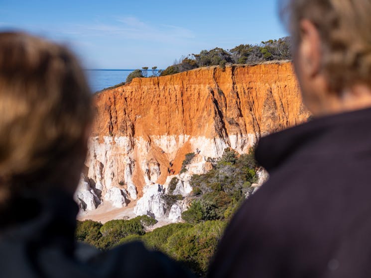 Two guests looking at the  Pinnacles Lookout