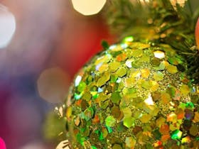 Inverloch Community Christmas Carols