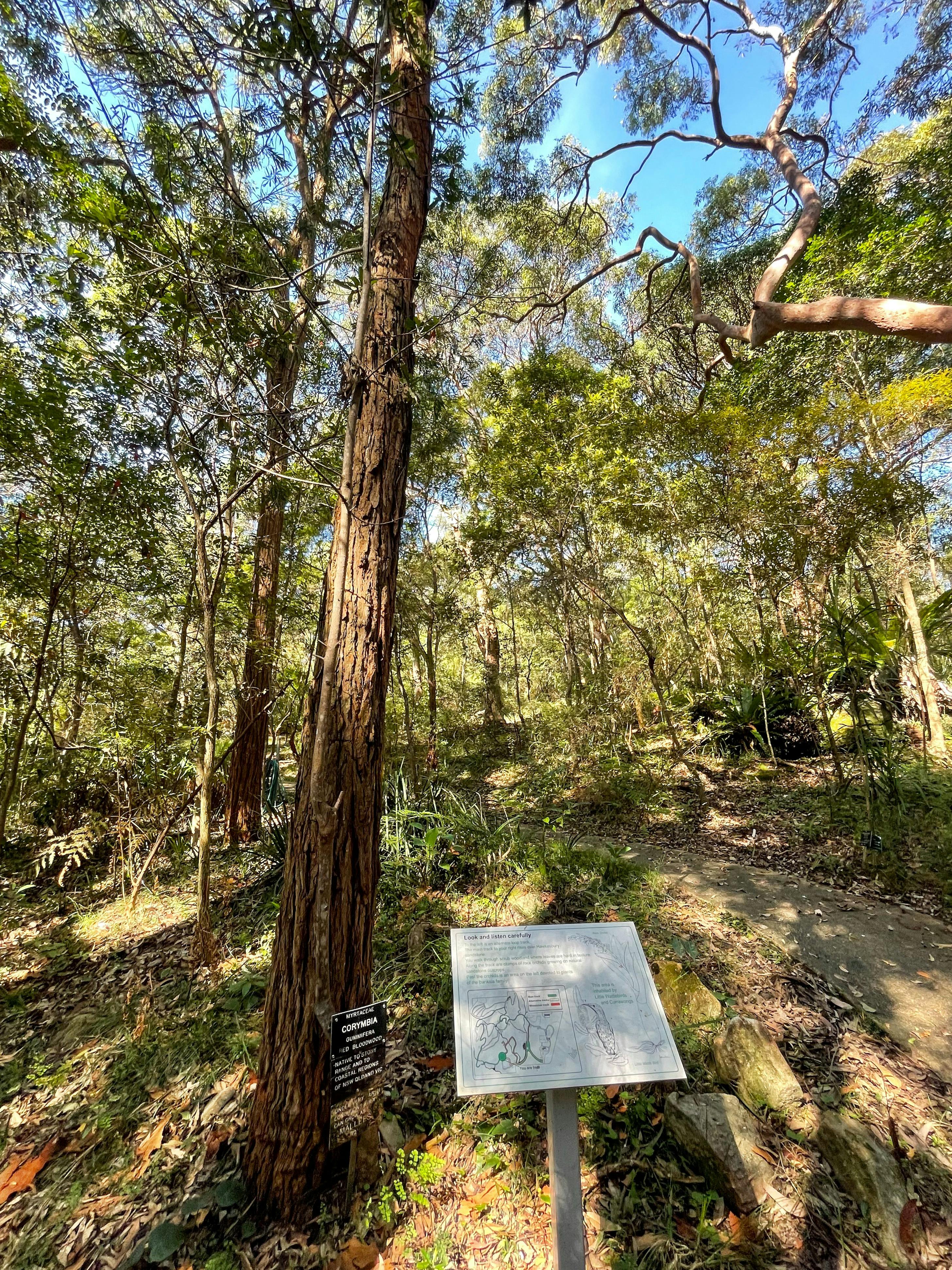 Information on fauna at Stony Range Botanical gardens