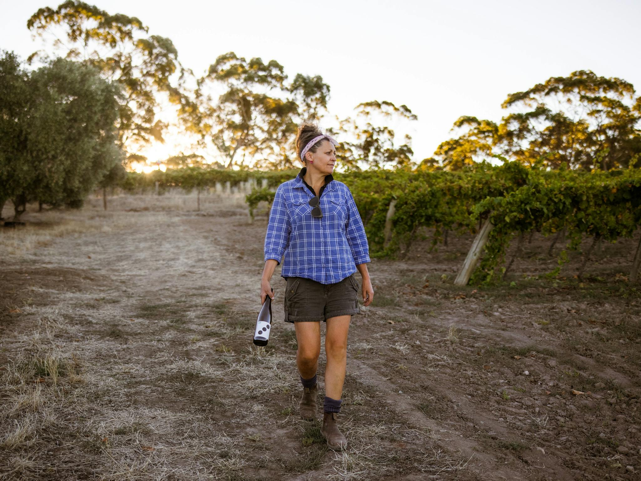 KT at Peglidis Vineyard