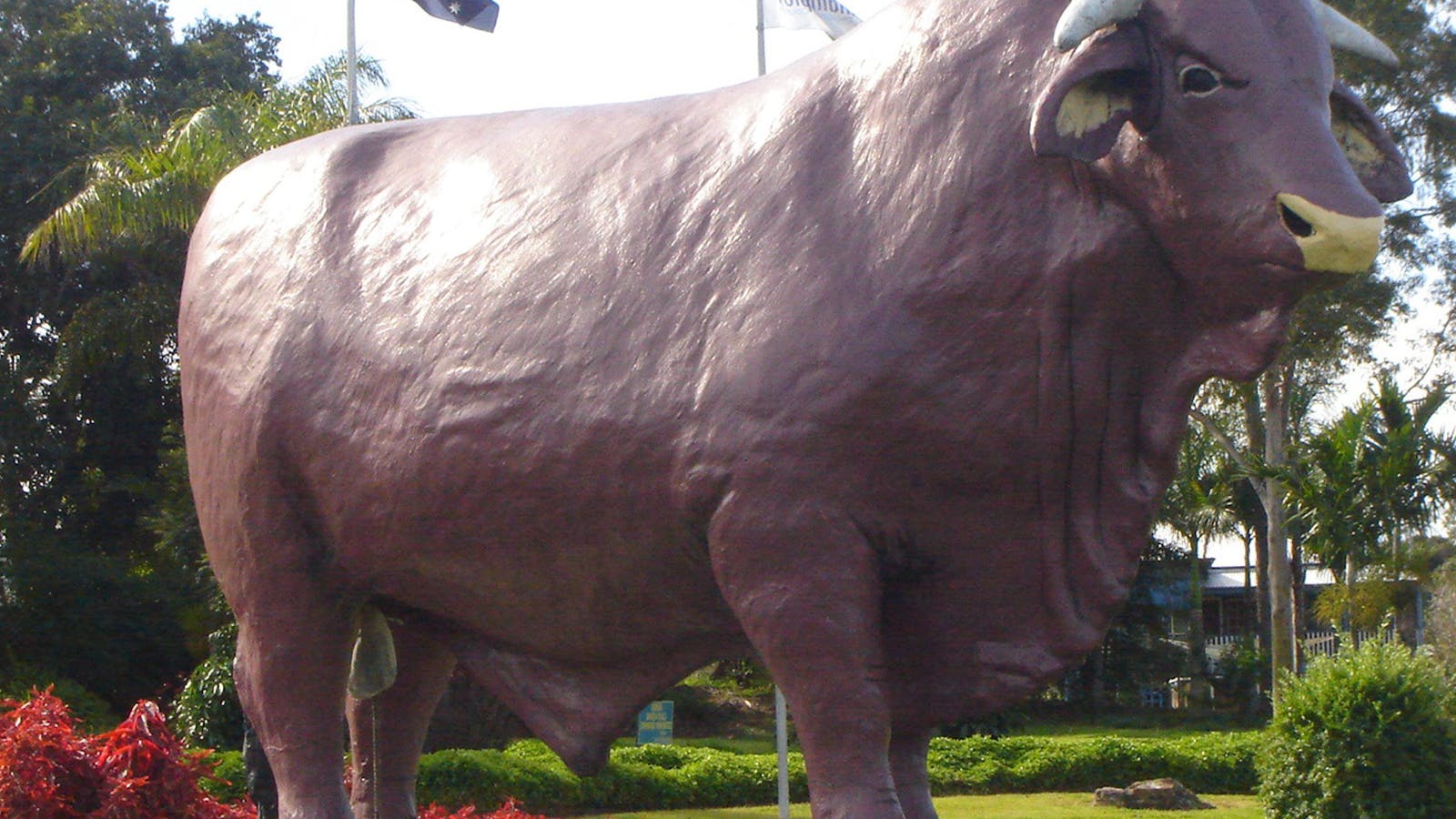 Rockhampton Bull Statues