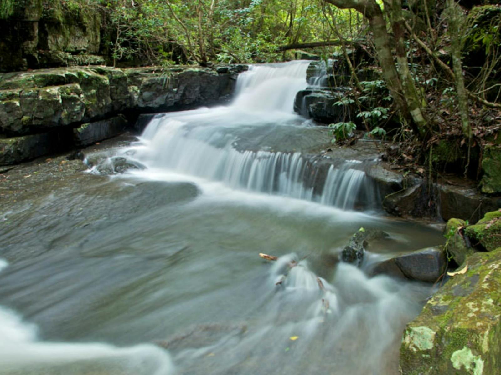 Jerusalem-Creek-Trail