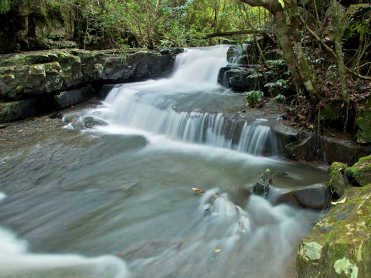 Jerusalem Creek Trail Dungog Visitnsw Com