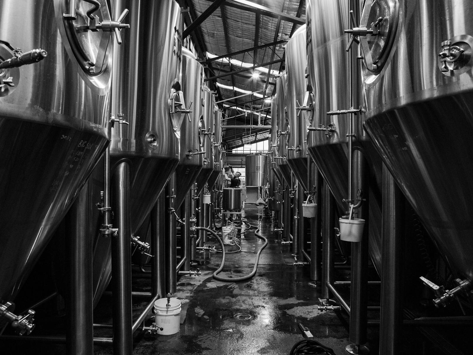 The Grifter Brewing Co