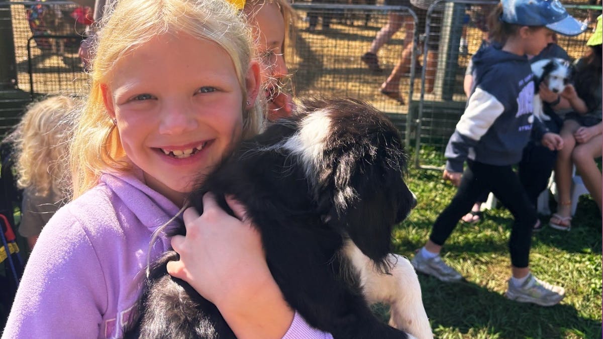 child holding puppy