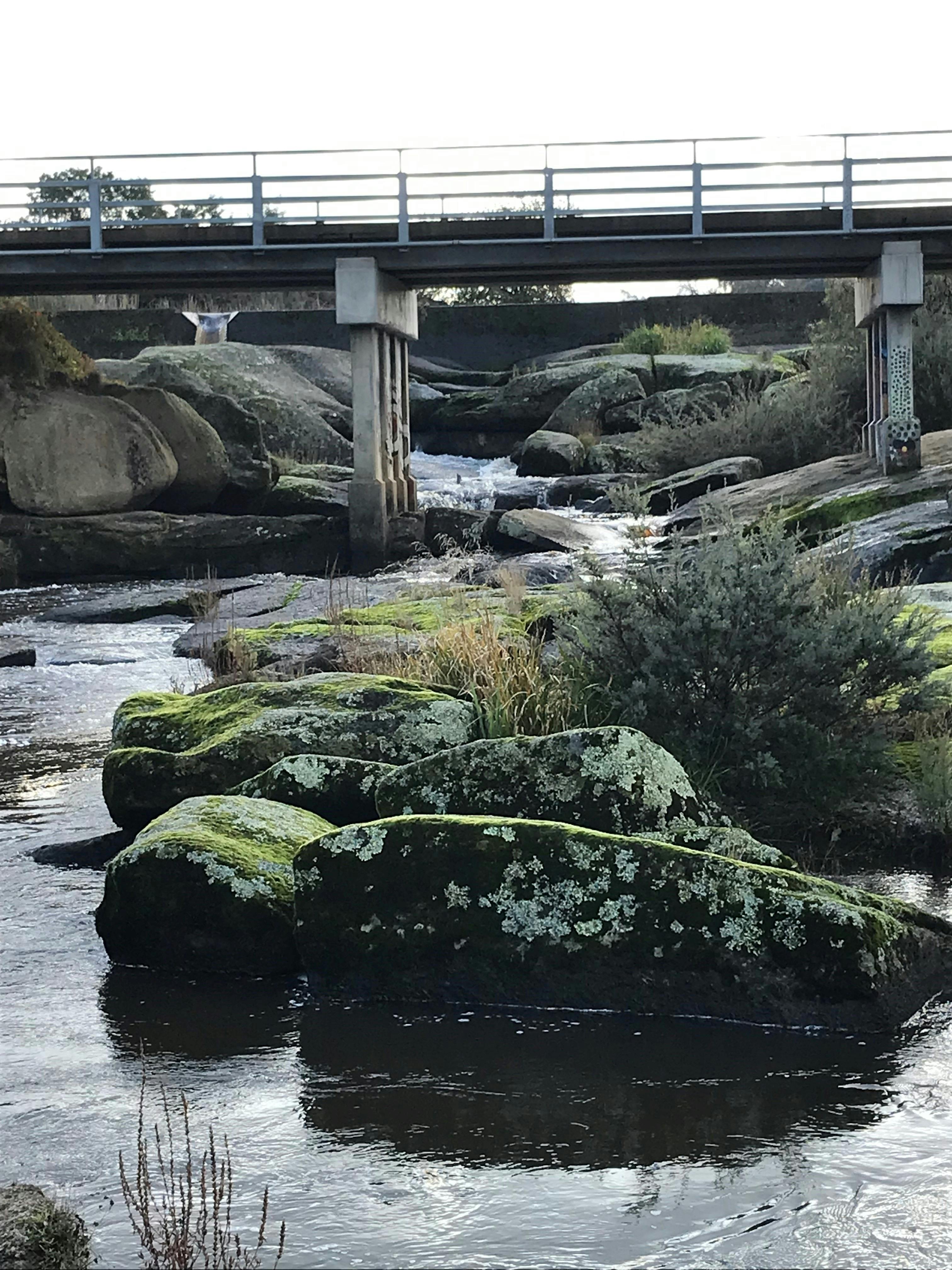 Polly McQuinns water hole