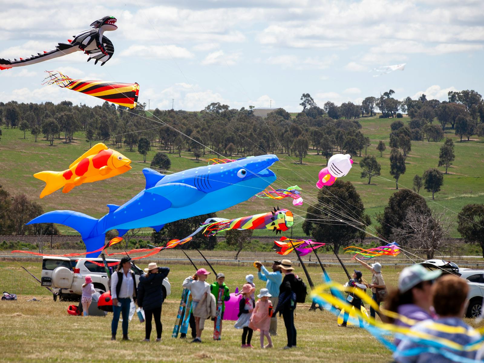 Huge kites flown by professional kite flyers with crowd watching them.