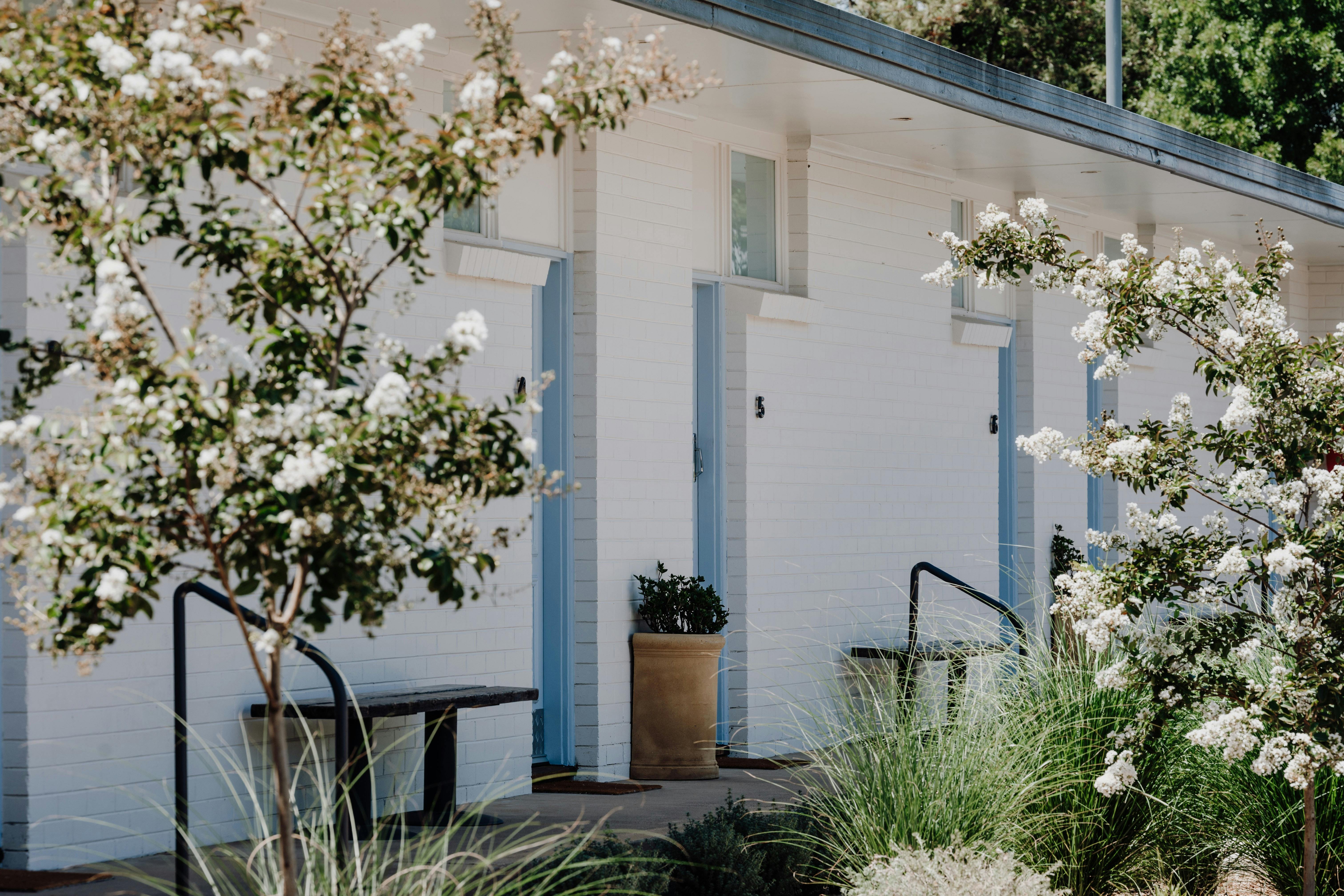 Main block rooms and blossom