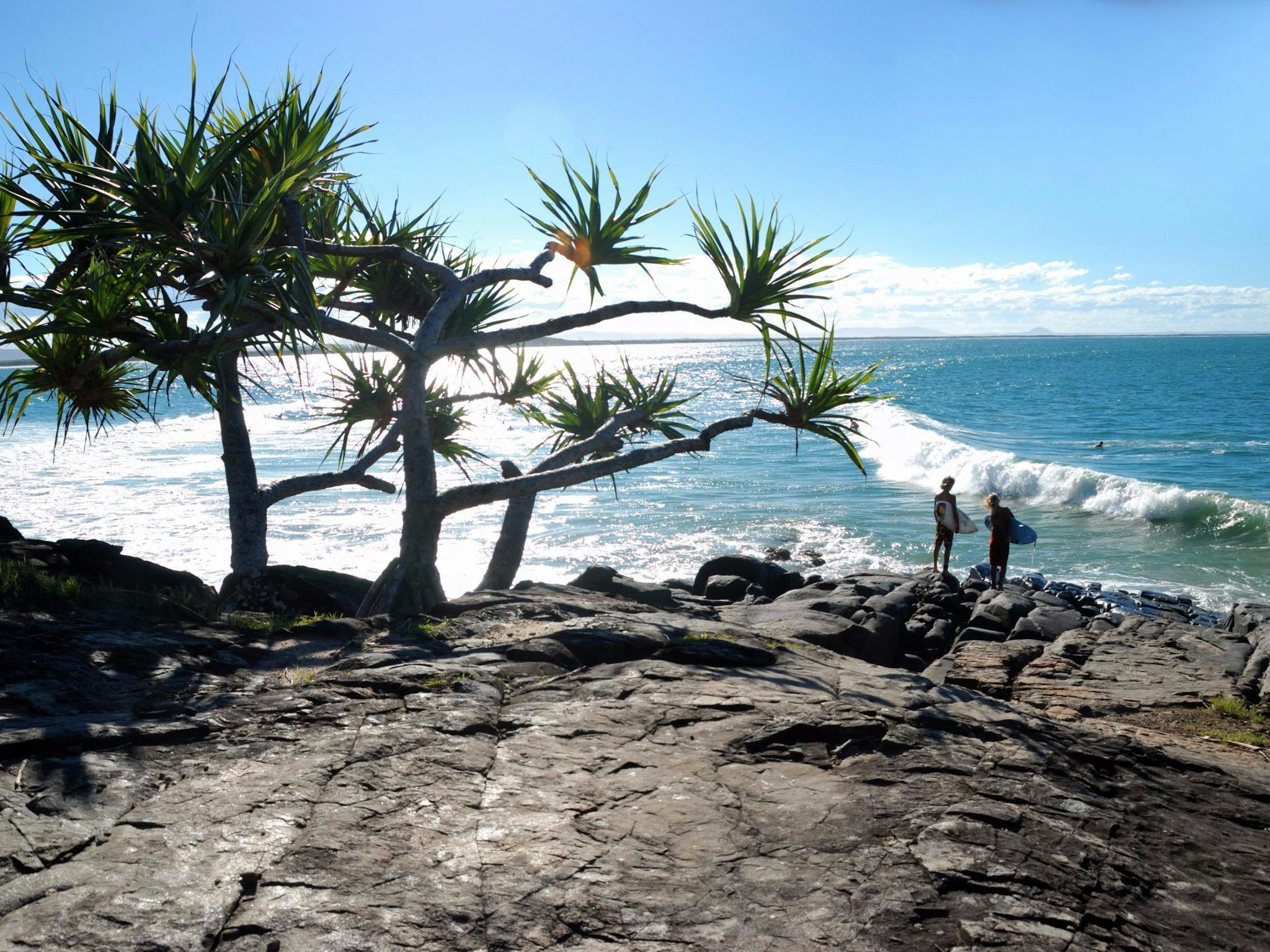 Tea Tree Bay