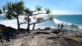 Tea Tree Bay