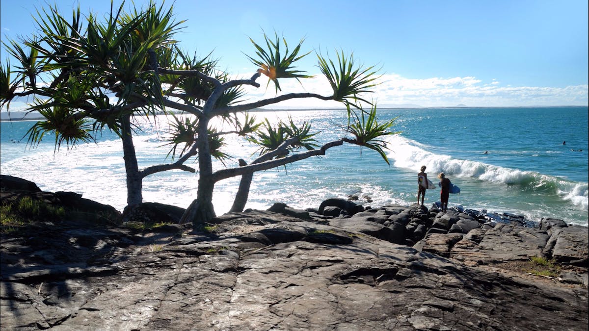 Tea Tree Bay