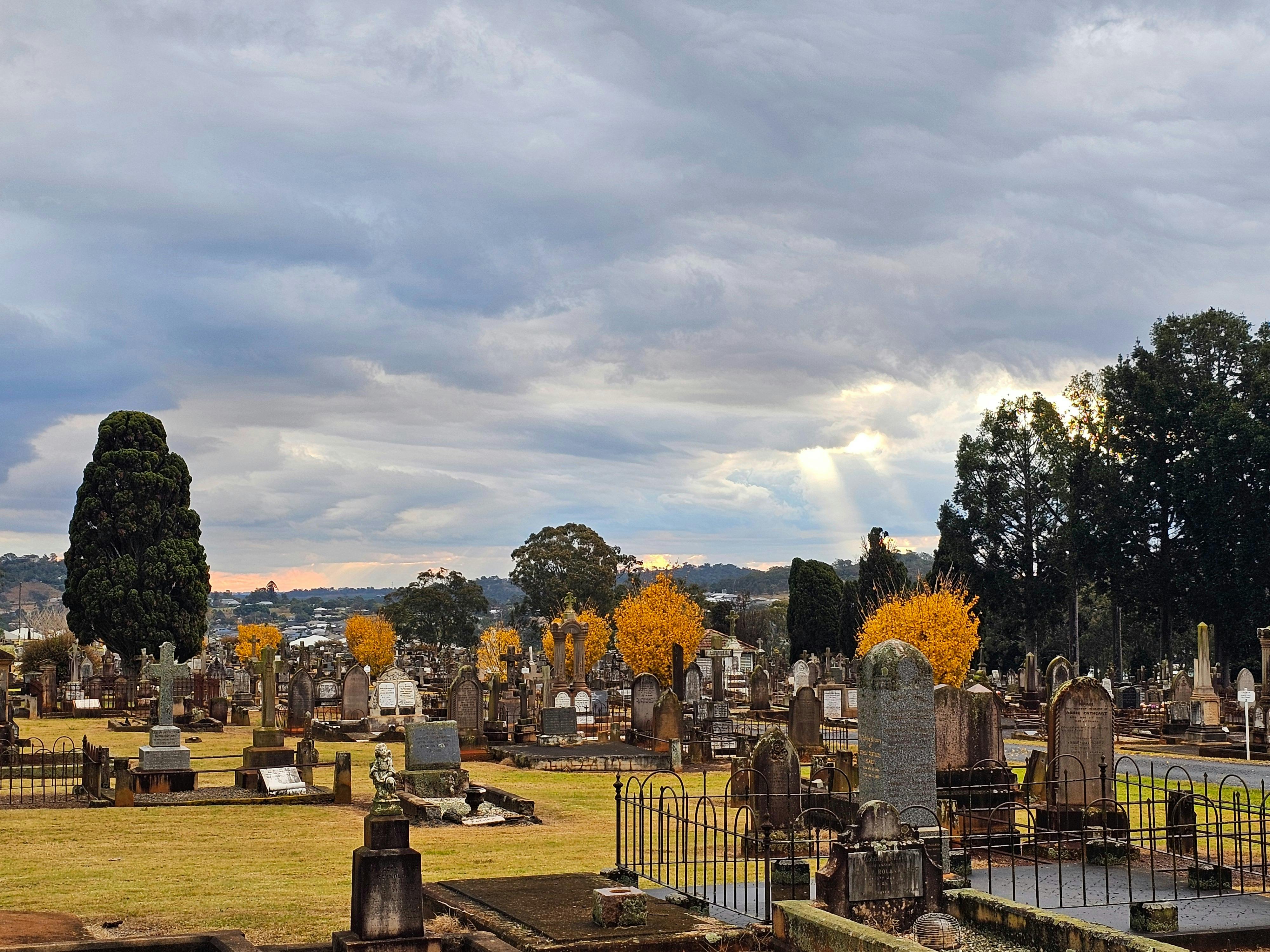 A wide photo of the cemetery in autumn, golden trees and a dark sky.