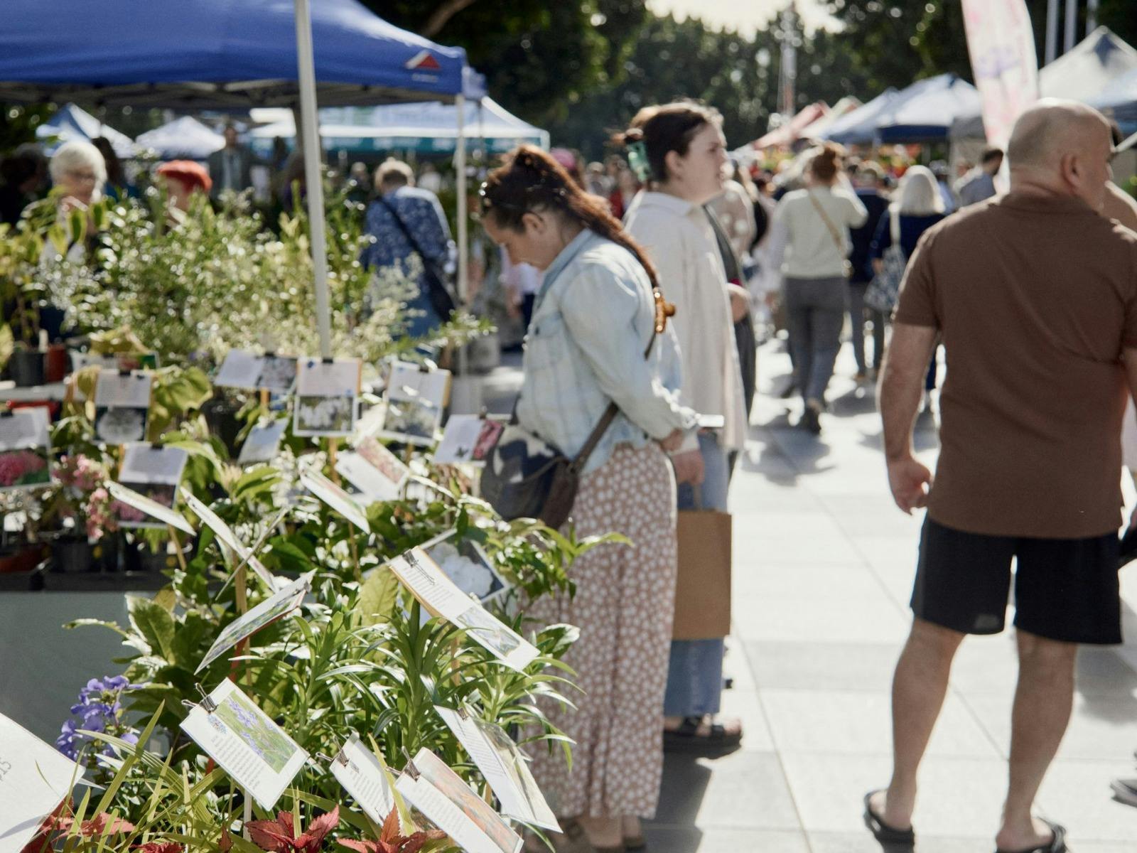 Ipswich Plant and Lifestyle Fair