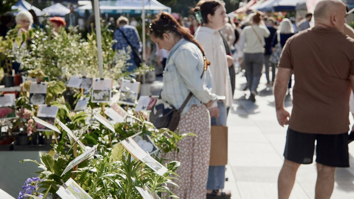 Ipswich Plant and Lifestyle Fair