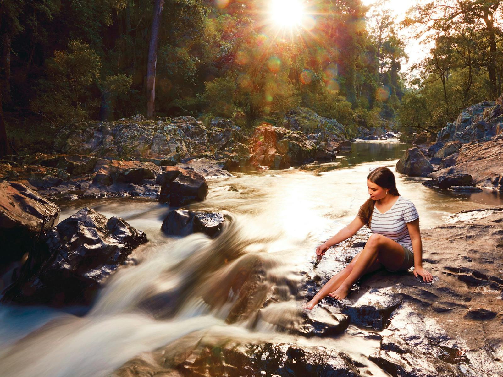 Explore creeks in Finch Hatton Gorge