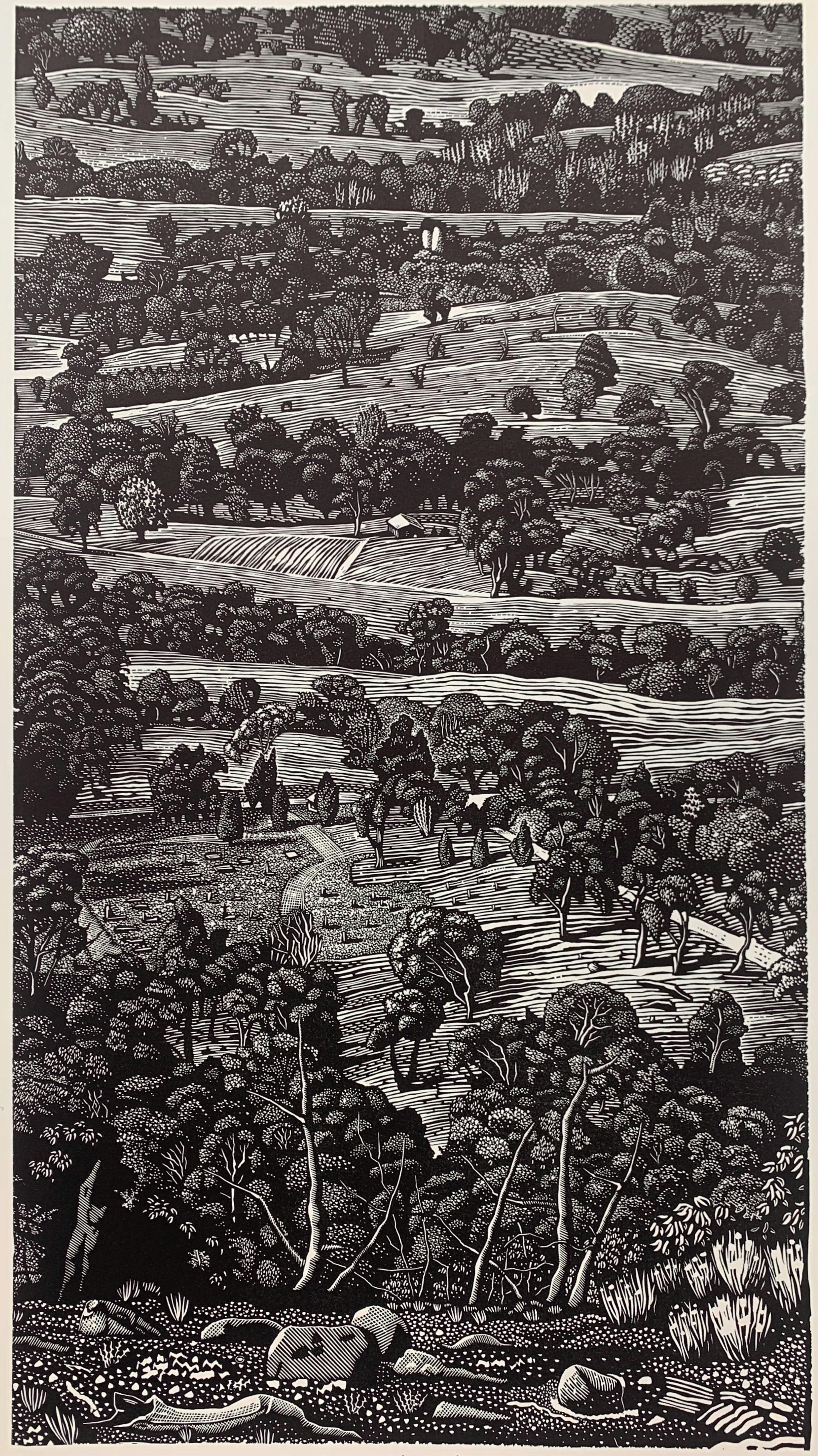 photo of Lino print by David Frazer