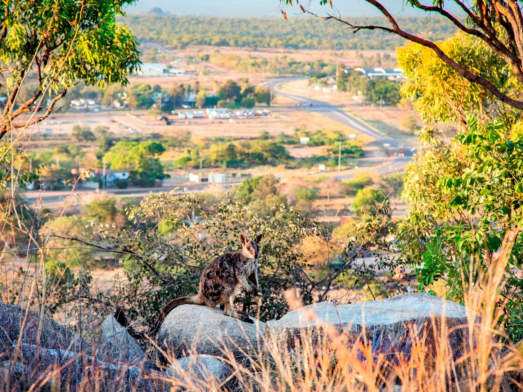 Towers Hill Lookout and Amphitheatre