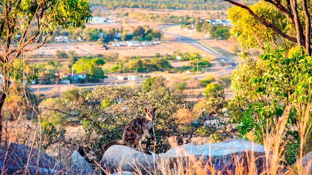 Towers Hill Lookout and Amphitheatre