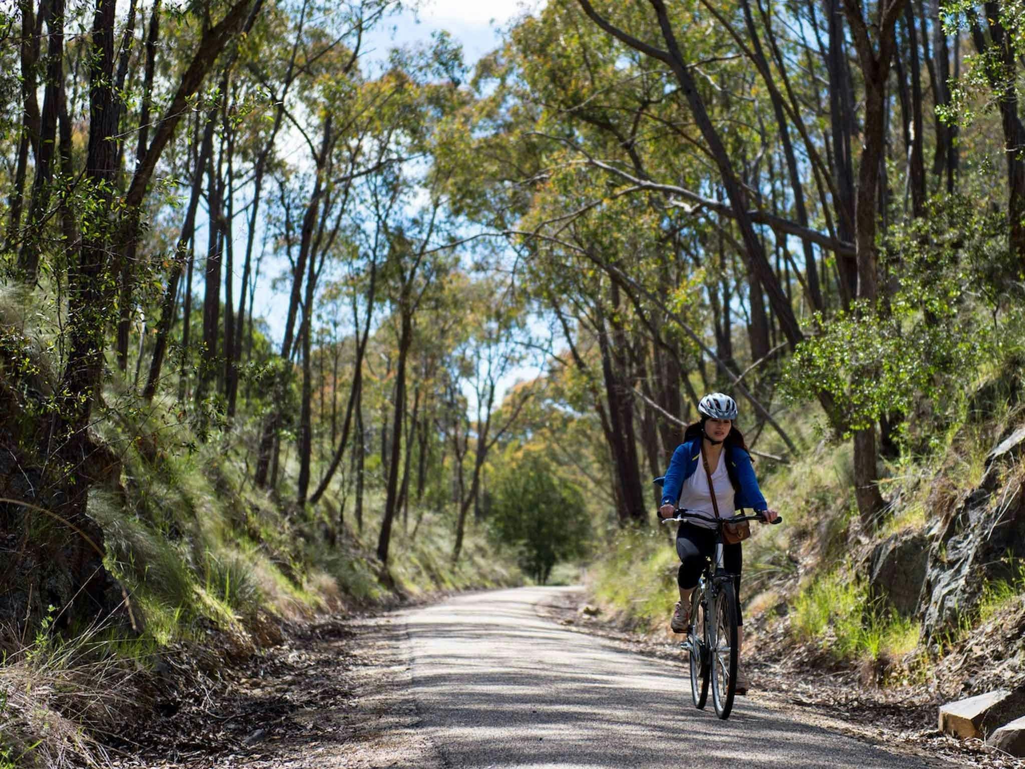 Murray to Mountains Rail Trail Beechworth to Everton
