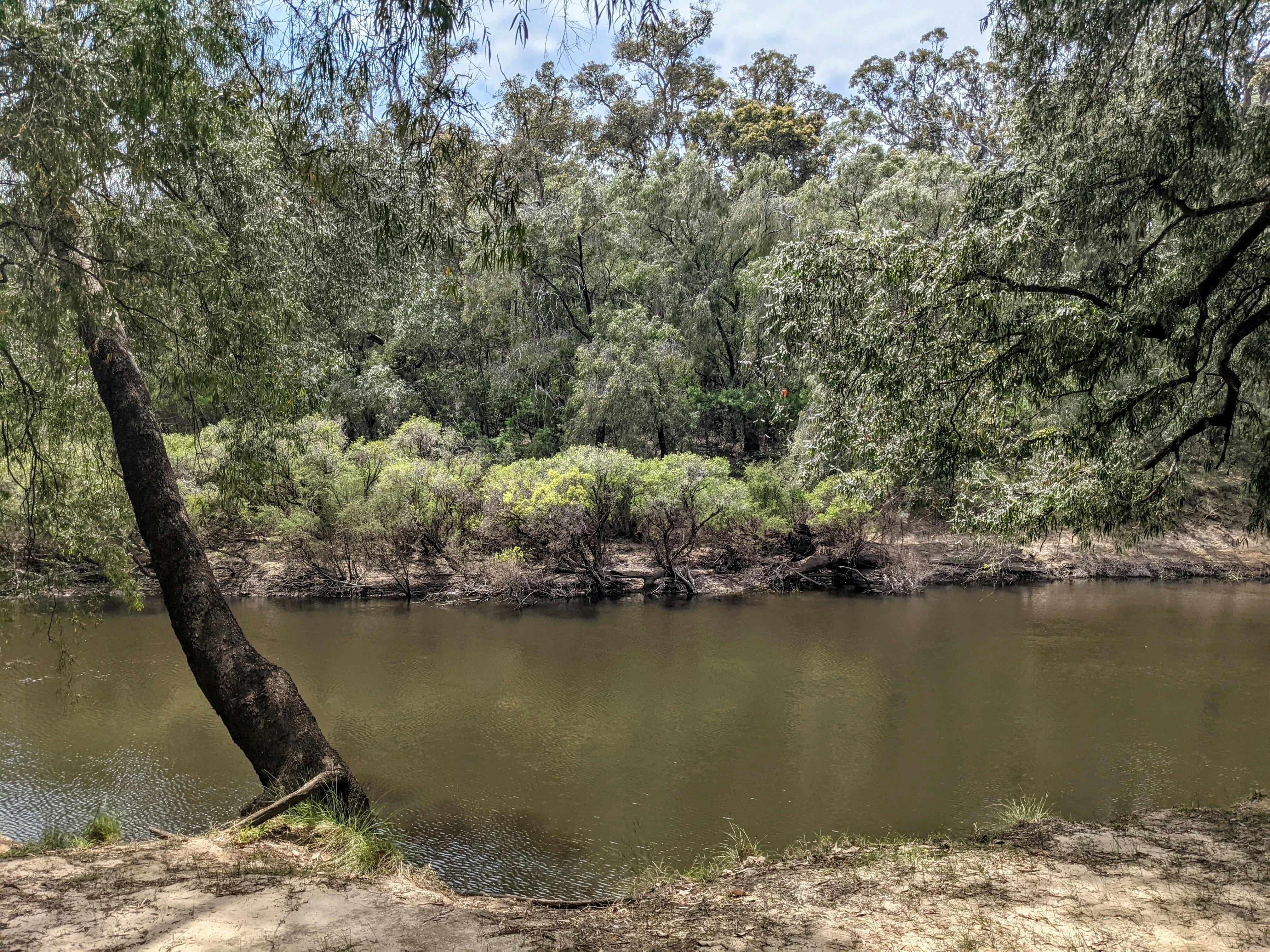 Sues Bridge Campground