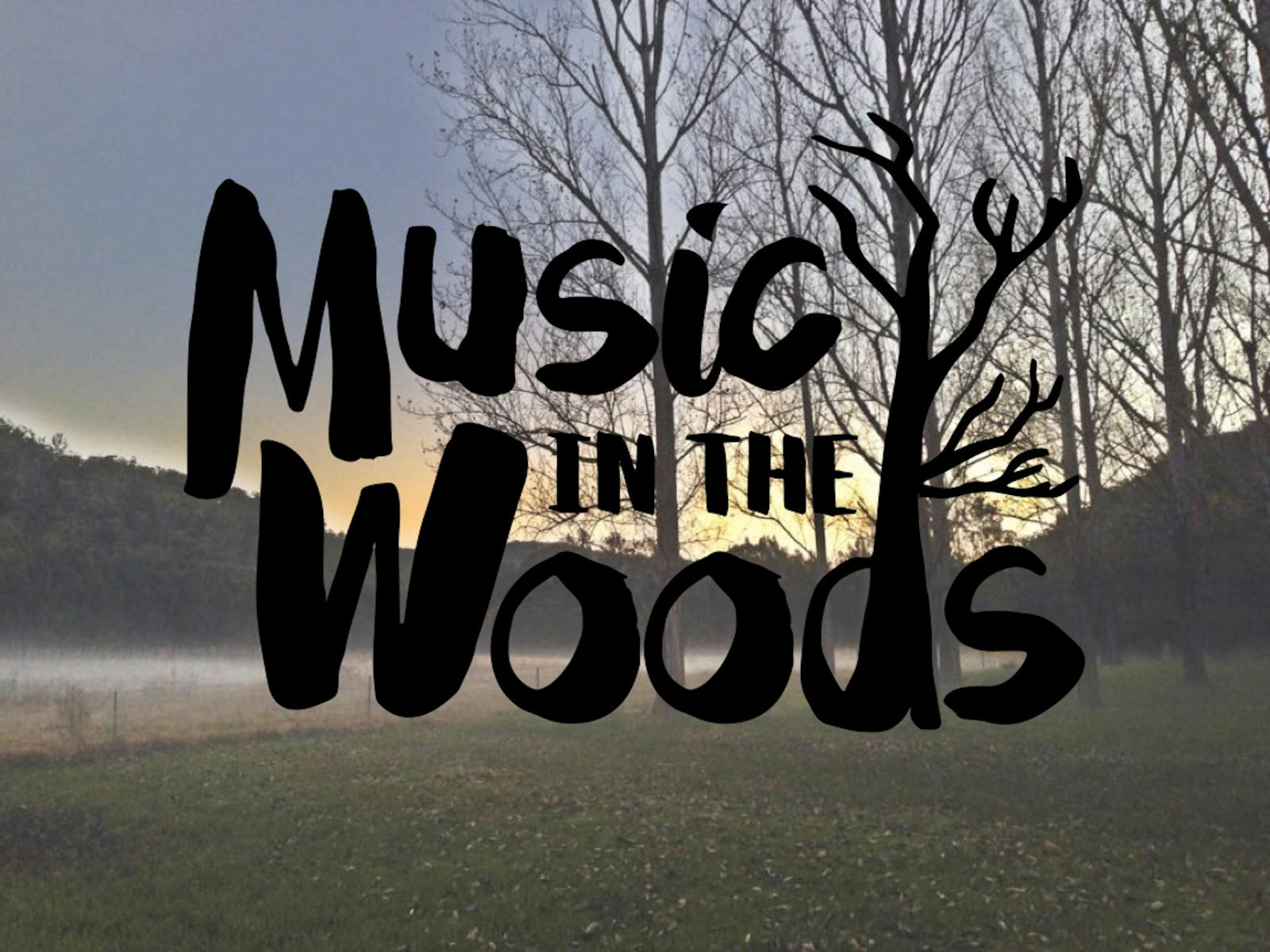 Image for Music in the Woods