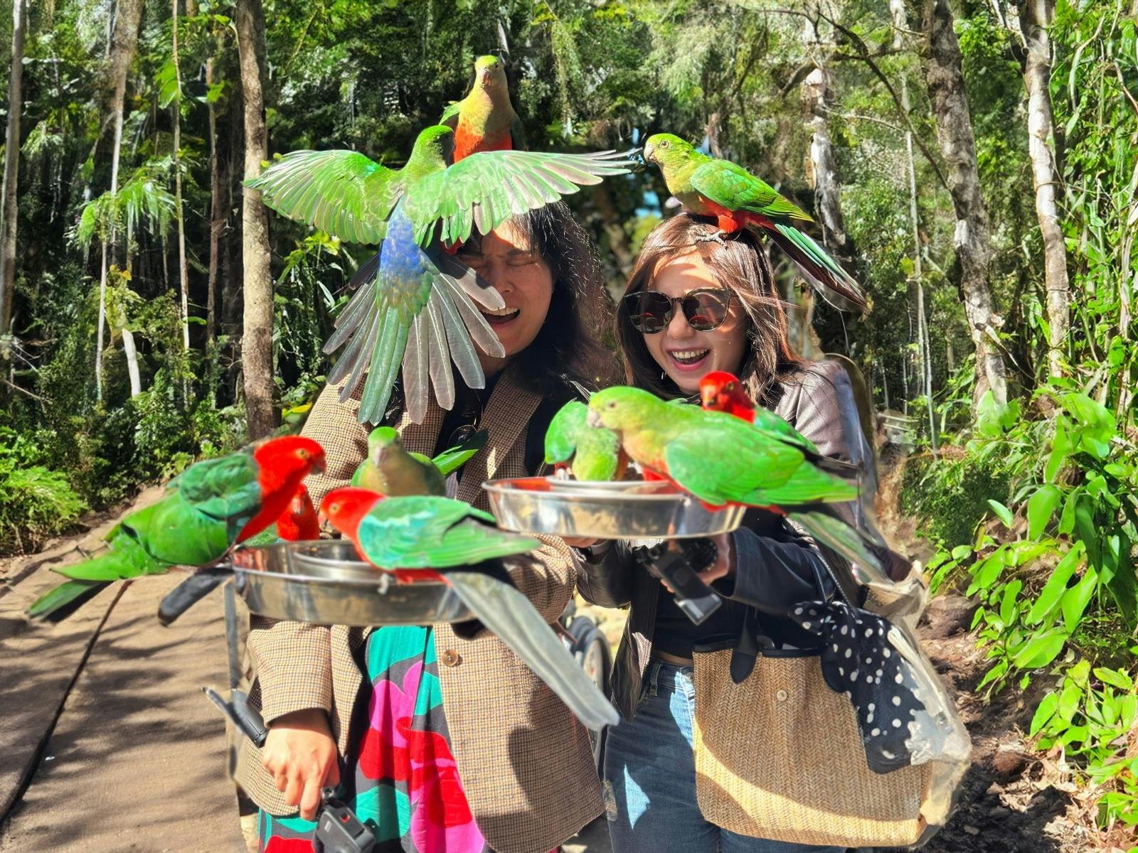 Birds being fed by two women Birds being fed by two women