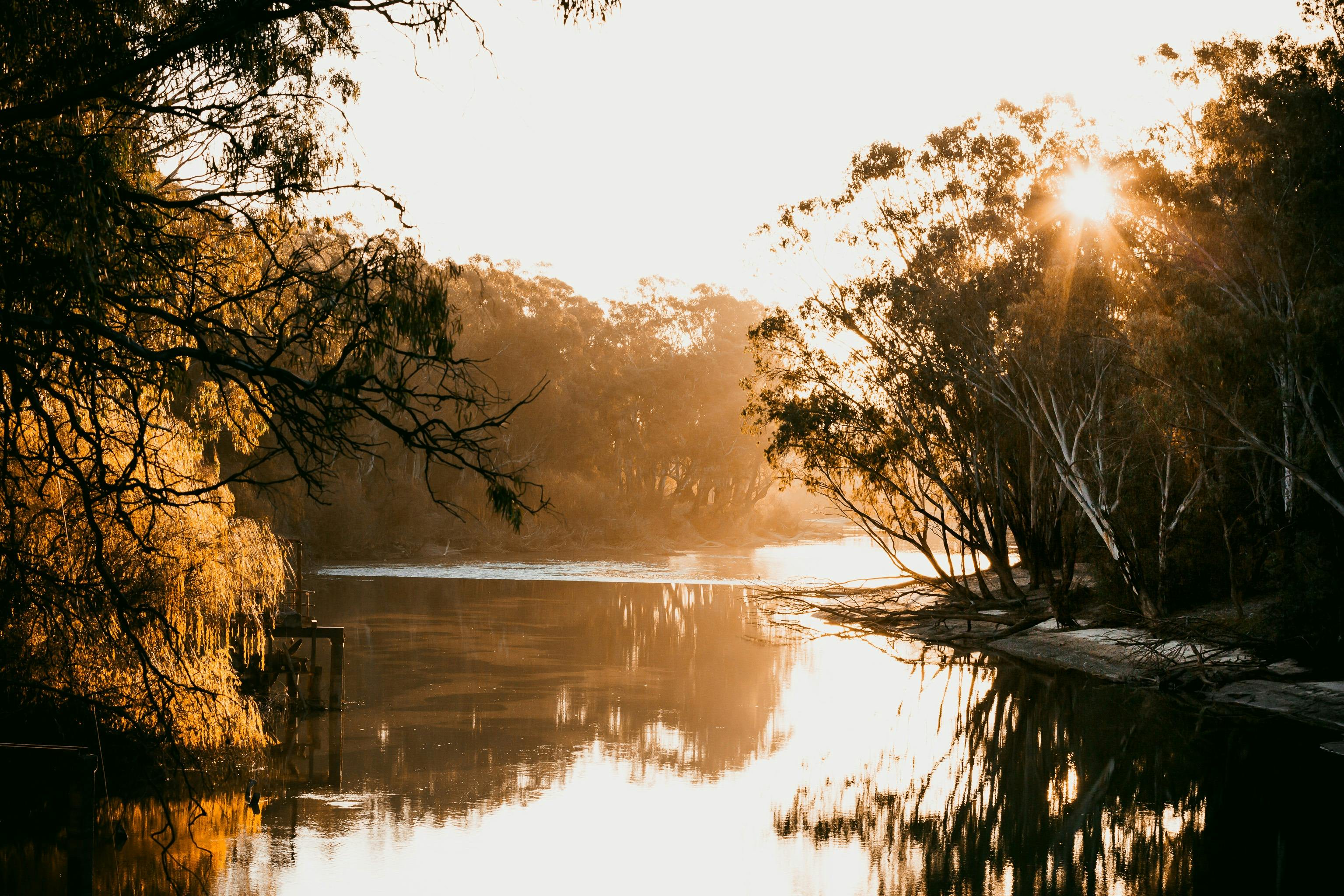Sunset over a river with gum trees