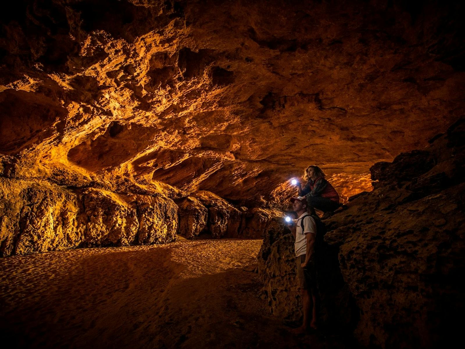 Stockyard Gully Caves