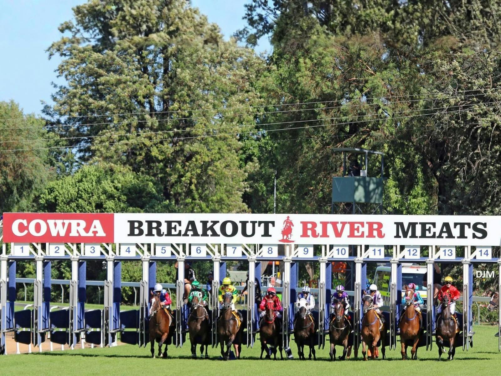 Cowra Diggers Cup edit