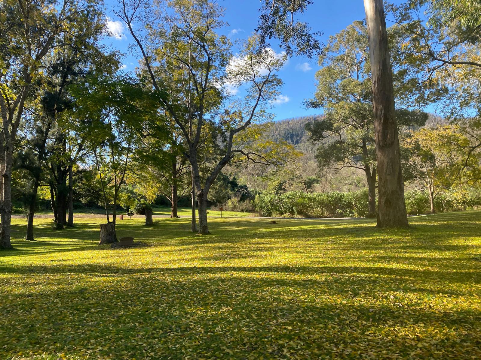 10 different camping areas to choose