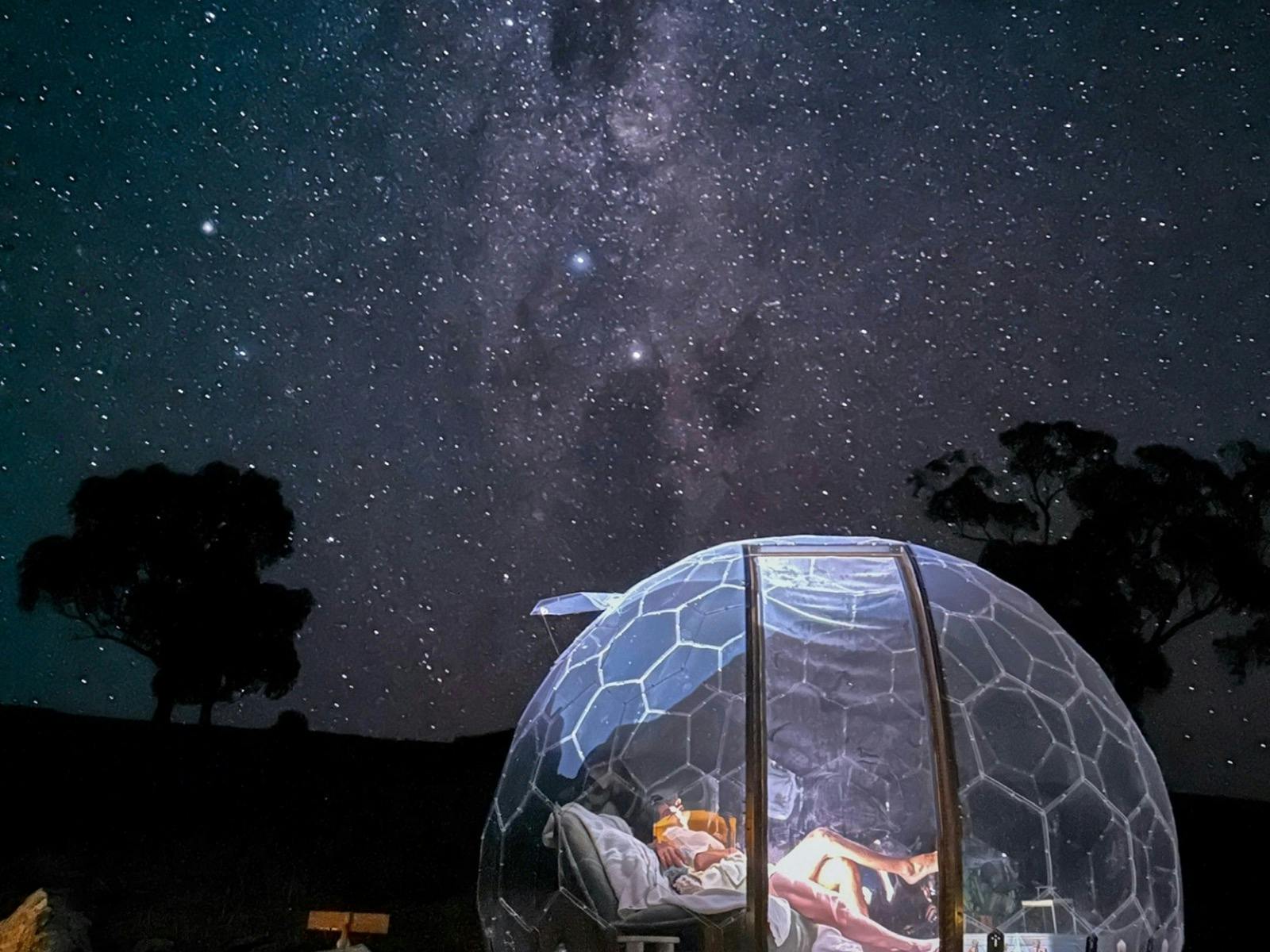 Guest stargazing from StarDome