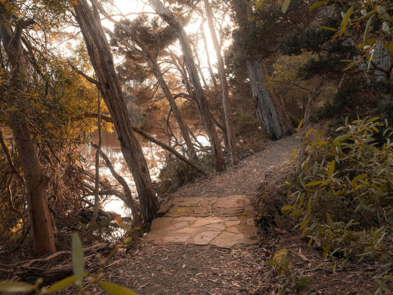 Inglis River Walkway
