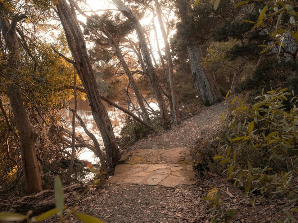 Inglis River Walk photo