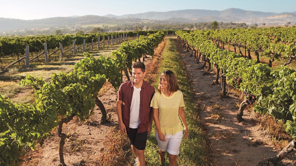 Winery, Granite Belt Winery, Granite Belt