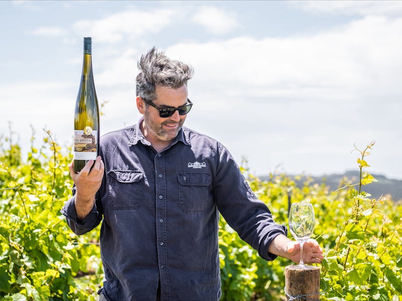 Pipers vineyard