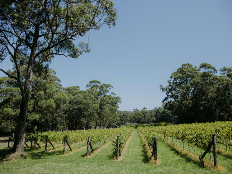 Shoalhaven winery