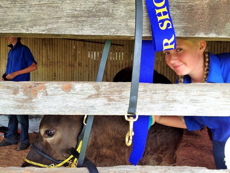 Gloucester AH&P District Show