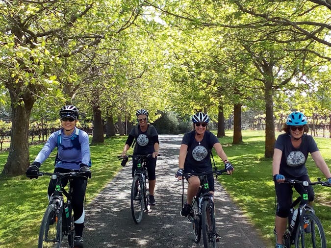 Tour de Barossa Cycling Tour Day Tour from Adelaide